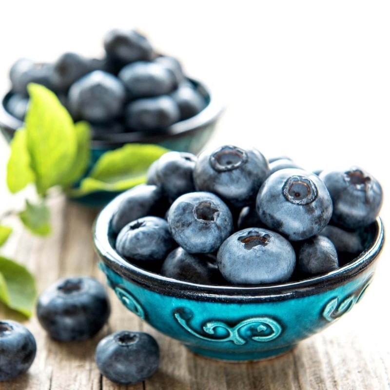 borówka amerykańska bluecrop  p9 właściwości.jpg