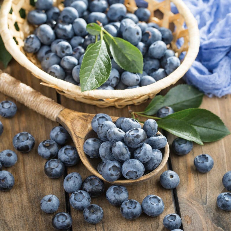 tania borówka amerykańska earliblue rodzaje.jpg