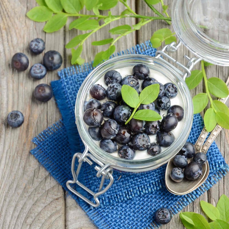 zdrowa borówka bonifacy  c2 słodkie owoce.jpg