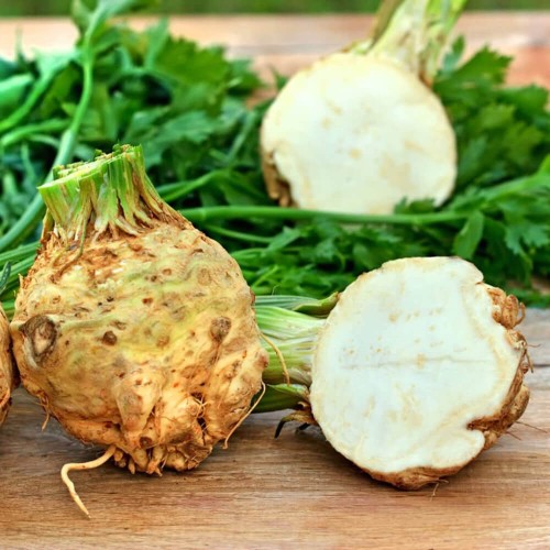 Seler korzeniowy TALAR wczesny nasiona 1g