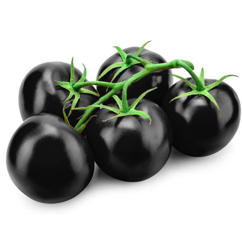 Pomidor gruntowy BLACKBALL NASIONA (2).jpg