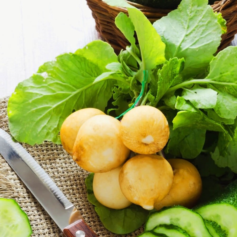 Rzodkiewka ZLATA  (1).jpg