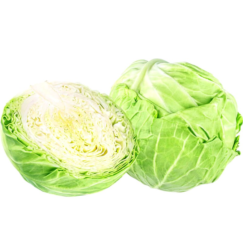 Kapusta DITHMARSCHER FRUHER DITMARSKA nasiona (1).jpg