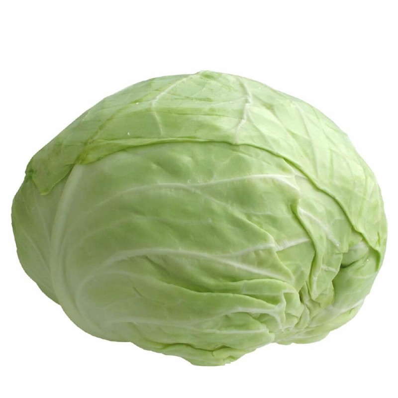 Kapusta BRUNŚWICKA Najlepsza na gołąbki nasiona  50g  (2).jpg