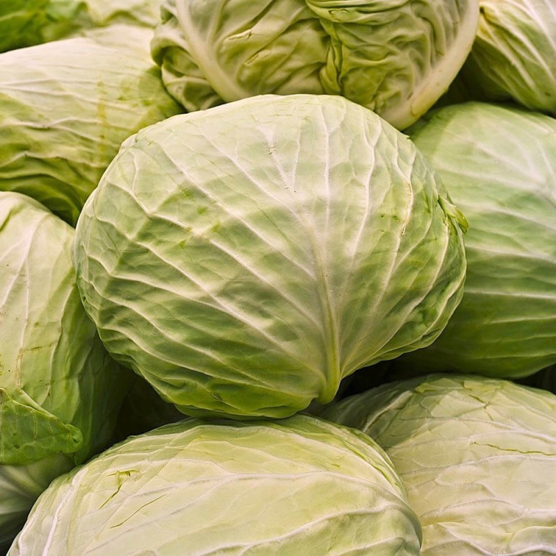 Kapusta BRUNŚWICKA Najlepsza na gołąbki nasiona 50g  (1).jpg
