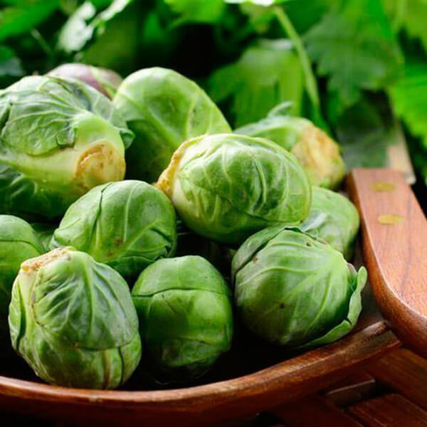 Kapusta brukselka GRONINGER nasiona  50g  (4).jpg