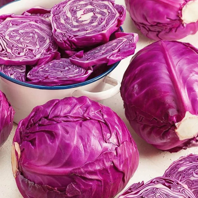 Kapusta głowiasta czerwona KODA nasiona (1).jpg