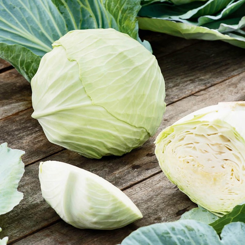 Kapusta AMAGER nasiona  100g  (4).jpg