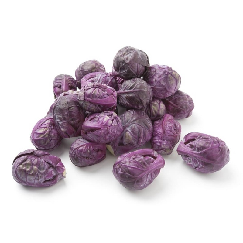 Kapusta brukselka CZERWONA nasiona (3).jpg