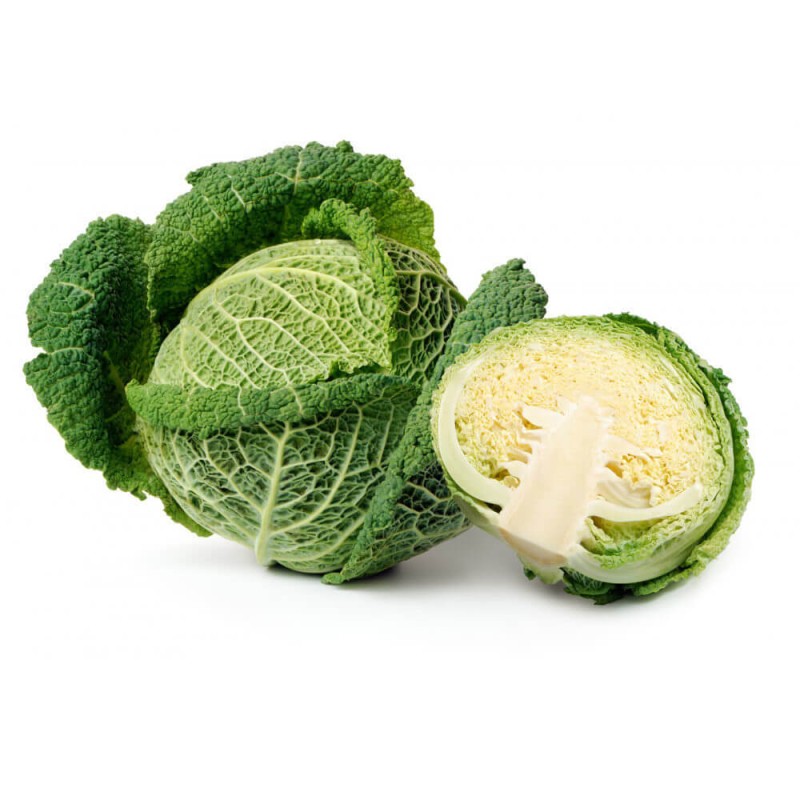 Kapusta włoska VERTUS 2 , śr. późna.jpg