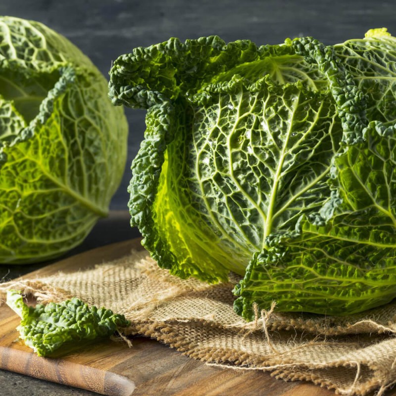 Kapusta włoska VERTUS 2 , śr. późna nasiona 50g (2).jpg