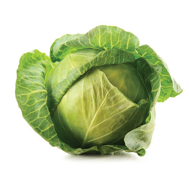 Kapusta głowiasta biała ROEM van Enkhuizen 50g .jpg