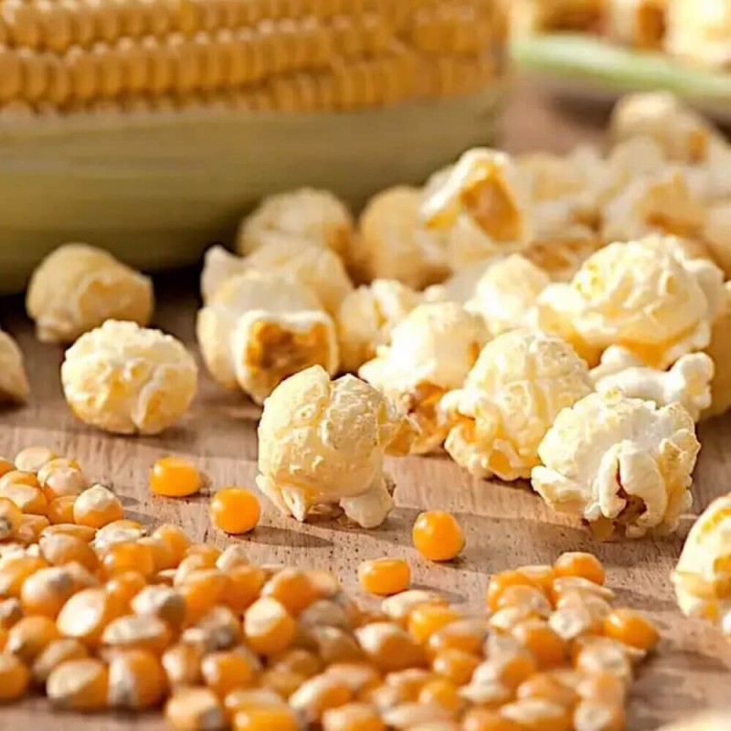 Kukurydza pękająca PŁOMYK (Zea mays ssp.everta) 20 g (3).jpg