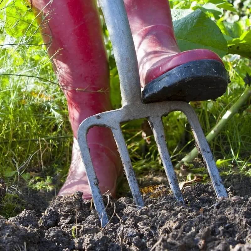 OBORNIK suszony bydlęcy - naturalny nawóz 4l (3).jpg