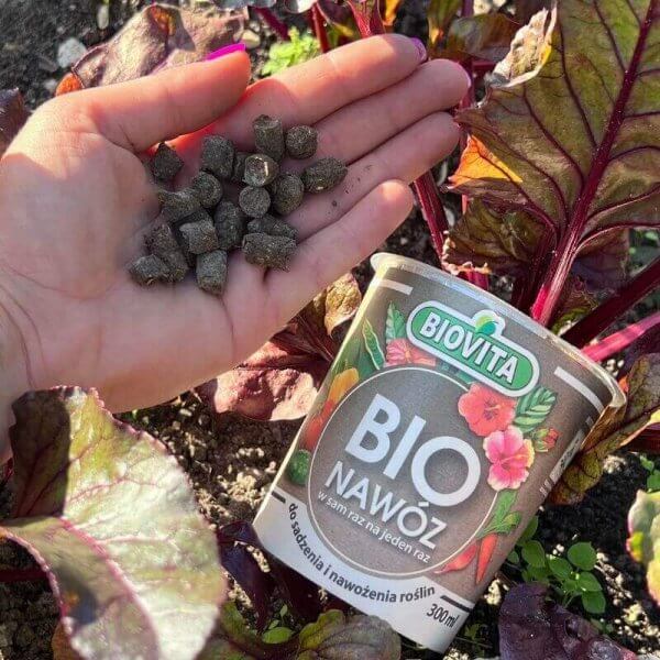 OBORNIK granulowany bydlęcy - naturalny nawóz w kubku 300ml (3).jpg