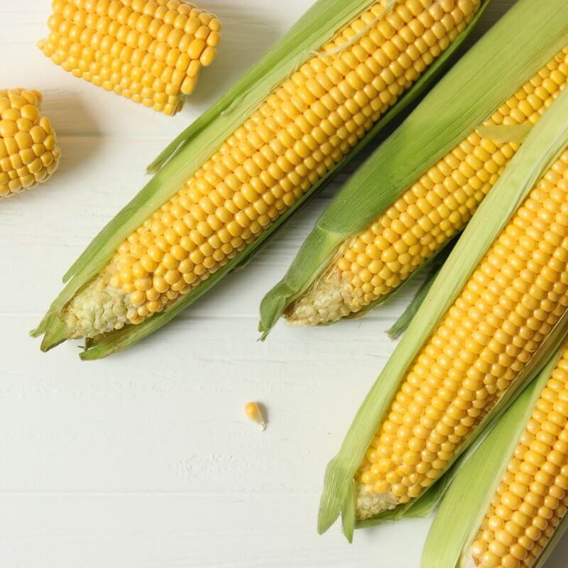bio-kukurydza-cukrowa.jpg