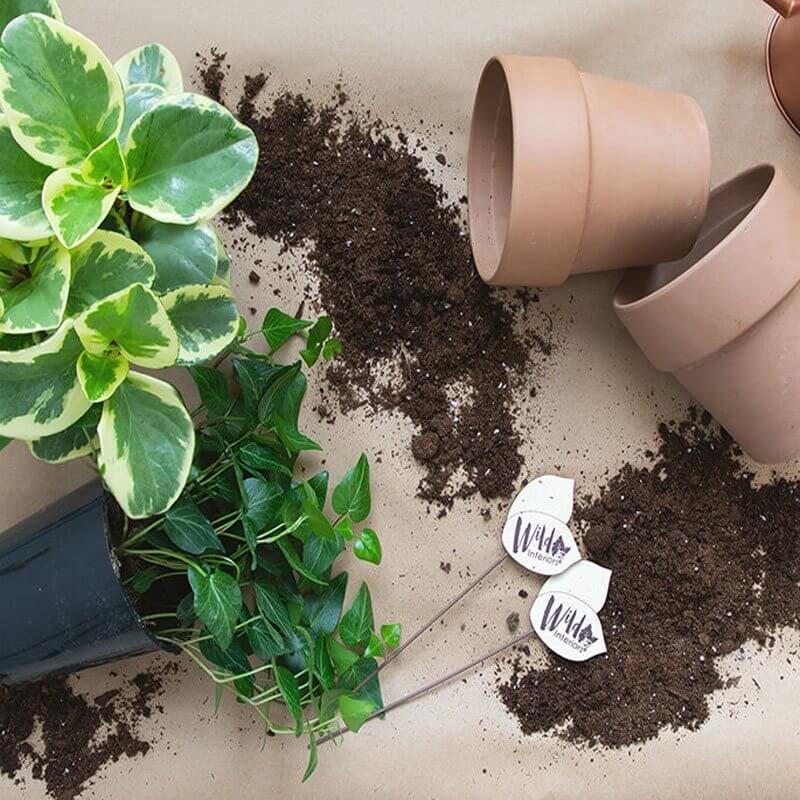 Podłoże COMPO COMPLETE 8 składników 10L (2).jpg