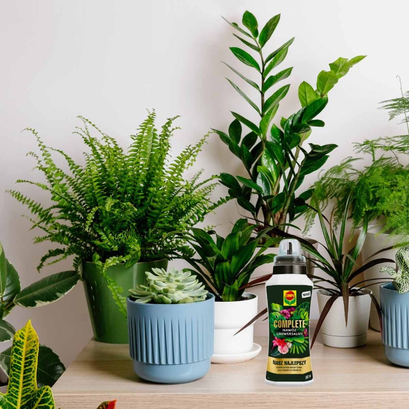 Nawóz płynny uniwersalny COMPO COMPLETE 500ml (1)