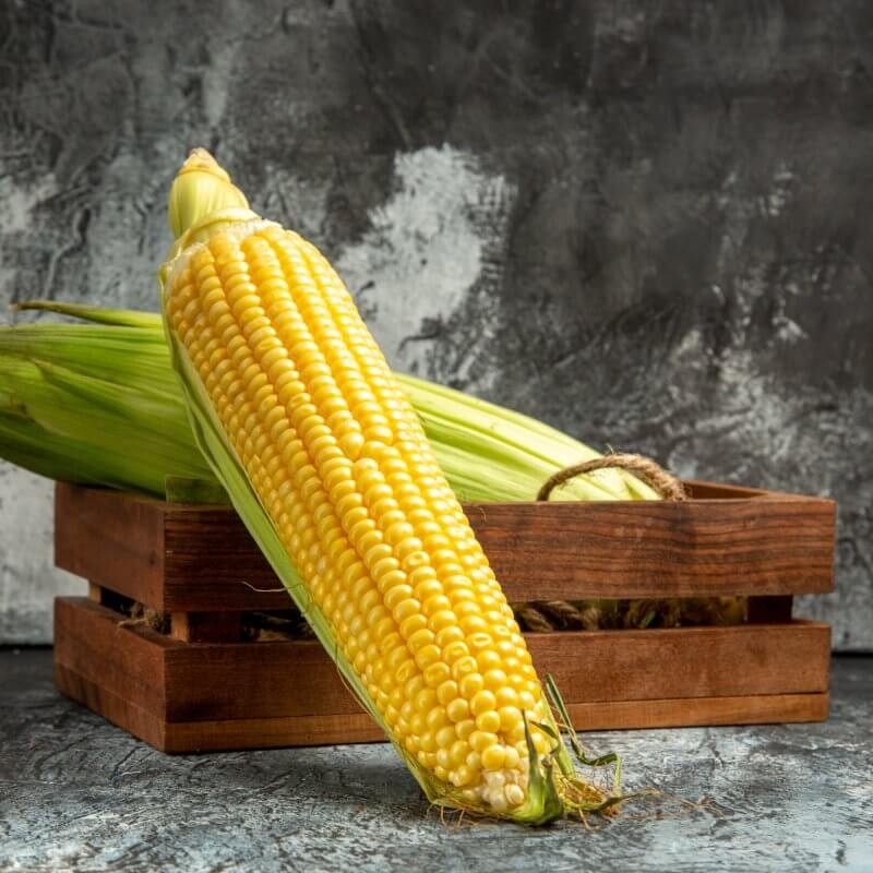 bio-kukurydza-cukrowa-golden-bantam-w-skrzynce.jpg