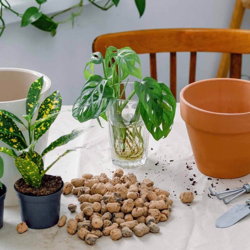 Keramzyt drobny - drenaż, podłoże do roślin 4-8mm 2L (3).jpg