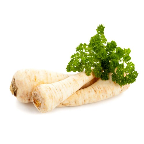 Pietruszka korzeniowa Cukrowa wczesna nasiona XL 100g