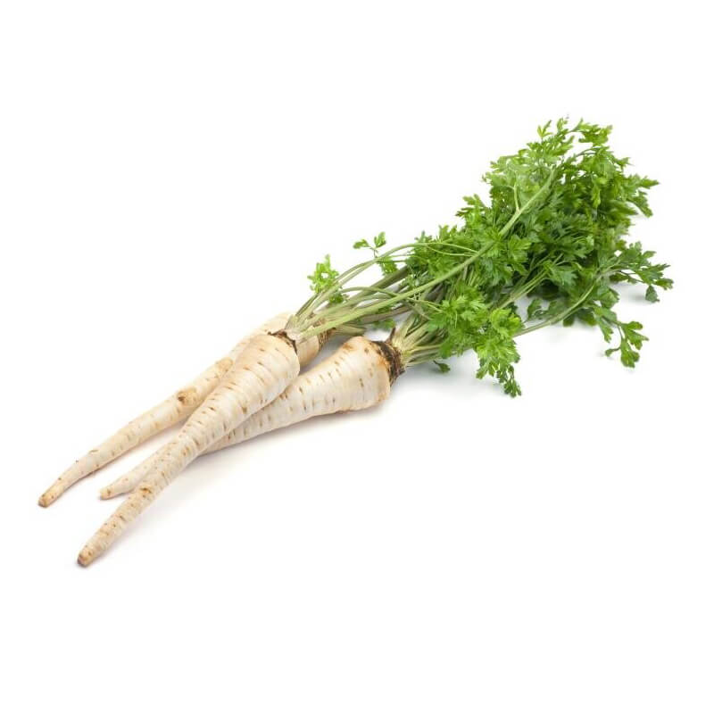 Pietruszka korzeniowa Halblange- Berlińska nasiona  500 G (3).jpg