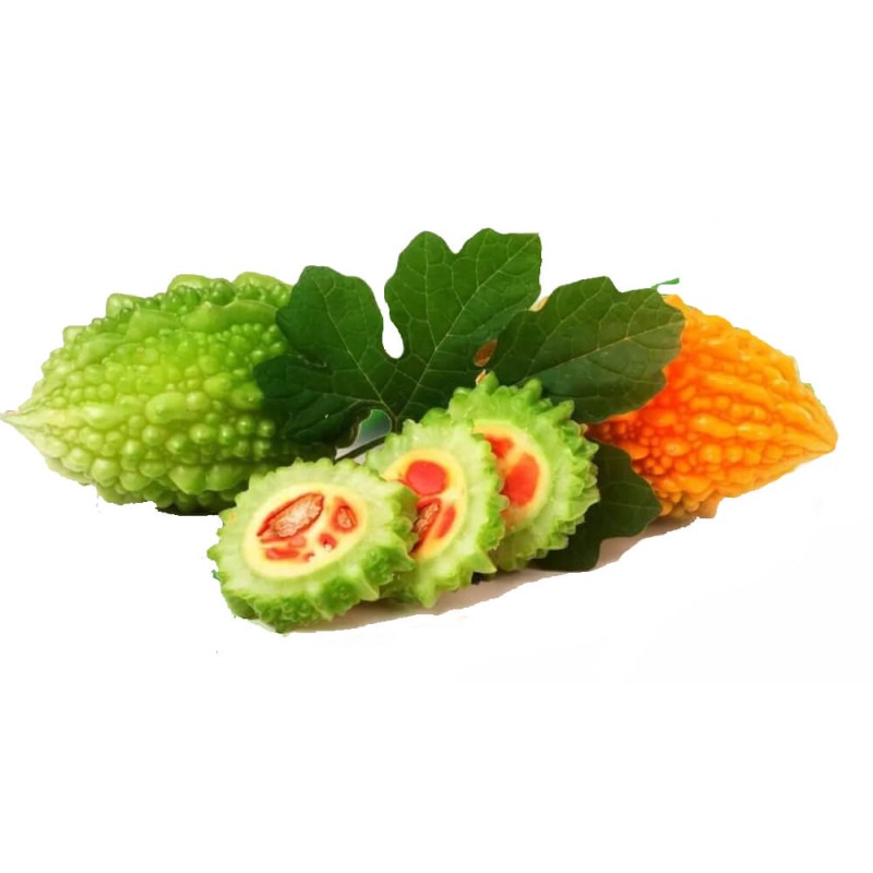 Balsamka Ogórkowata dla Cukrzyków nasiona (3).jpg