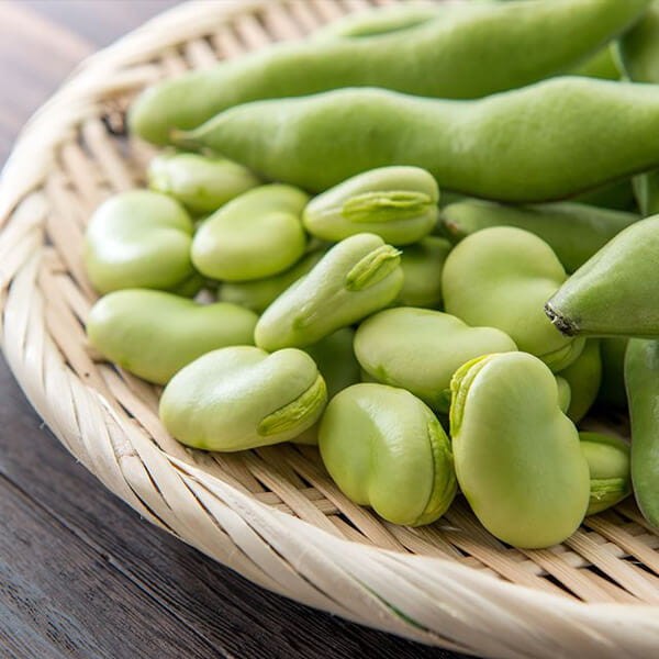 Bób HANGDOWN BIAŁY nasiona (3).jpg