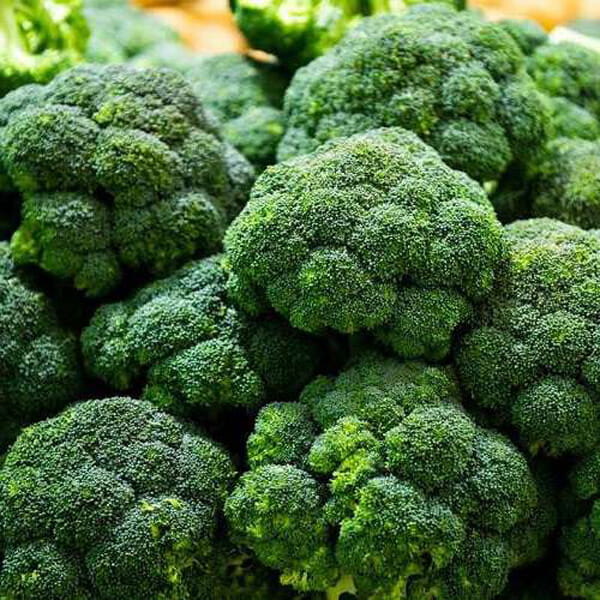 Brassica oleracea convar cezar 1.jpg