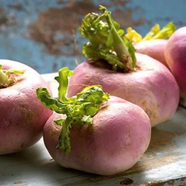 Nasiona brukiew 1.jpg