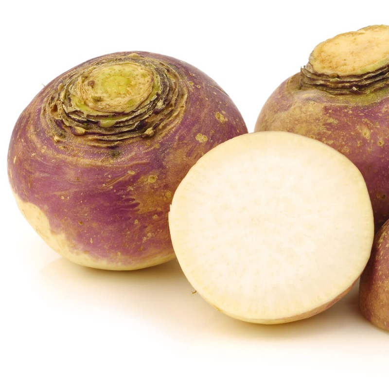 Brukiew nasiona 33.jpg