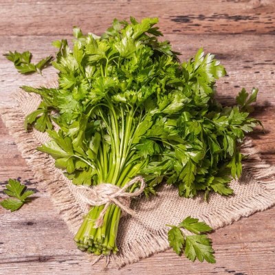 BIO Pietruszka liściowa GIGANTE DITALIA nasiona ekologiczne 2g