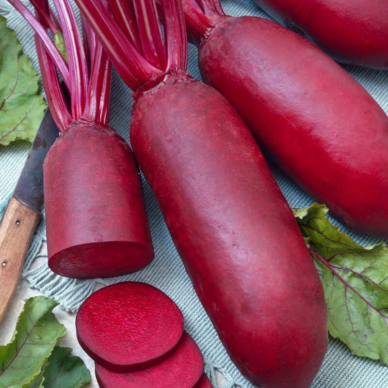 Burak cylindra nasiona 100 g 1.jpg