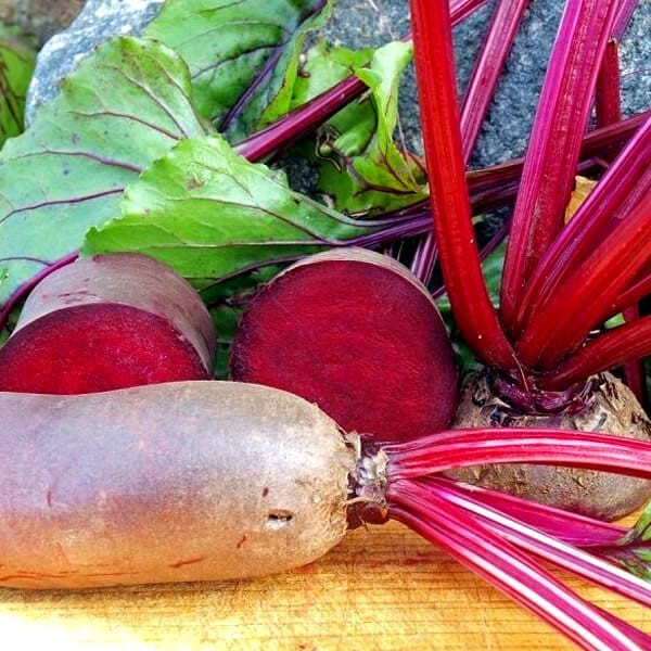 Burak Cylindra nasiona 3 100 g.jpg