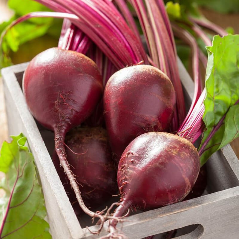 Burak ćwikłowy Czerwona Kula 2 nasiona 100 g (6).jpg