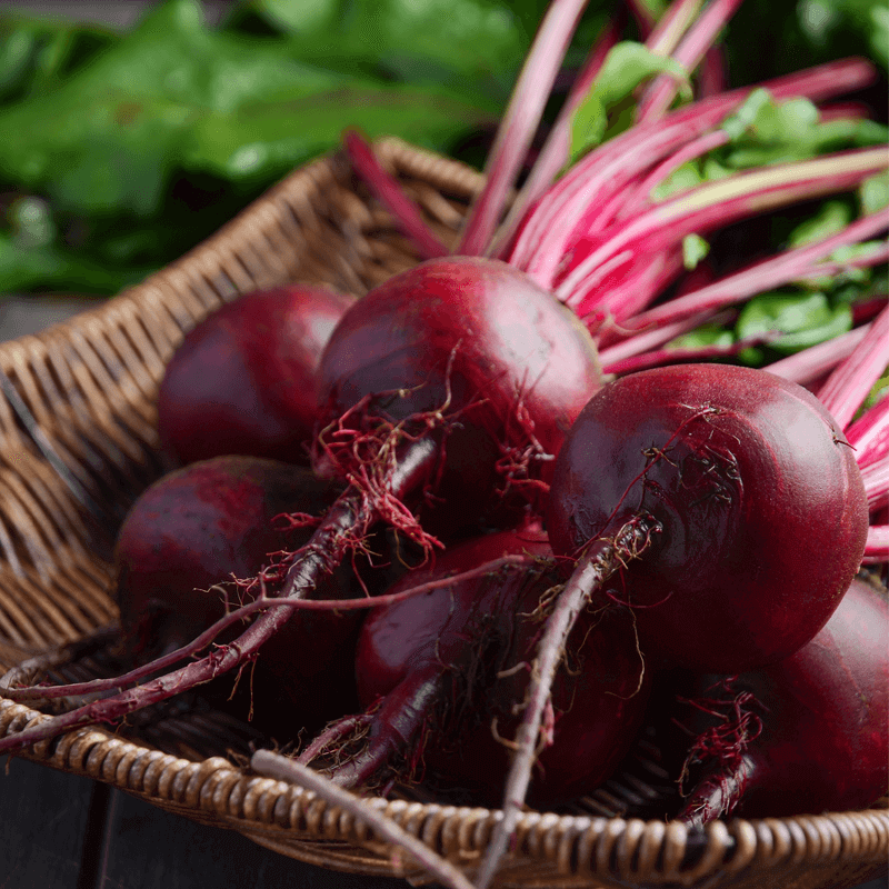 Burak ćwikłowy Czerwona Kula 2 nasiona 250 g (1).png