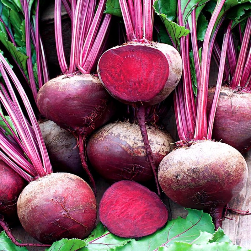 Burak ćwikłowy Egipski D'Egypte Nasiona  100g  (2).jpg