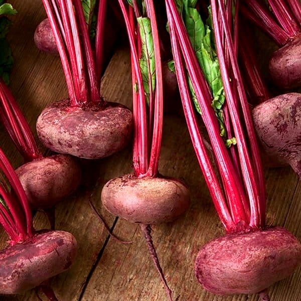 Burak ćwikłowy Egipski D'Egypte Nasiona 250g  (4).jpg