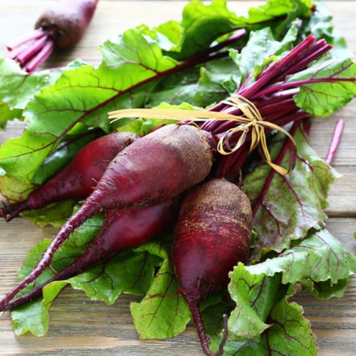 Burak ćwikłowy OPOLSKI nasiona XXL 100g