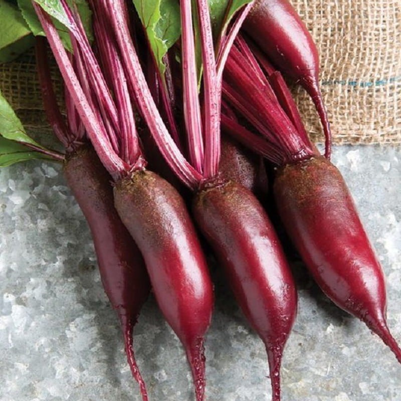 Burak opolski nasiona 250g  4.jpg