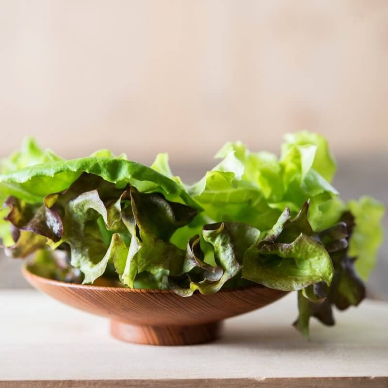 liscie-bio-salaty-maslowa-merveille.jpg