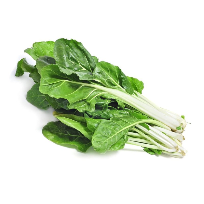 Burak liściowy Lucullus - zielonolistny nasiona 2.jpg