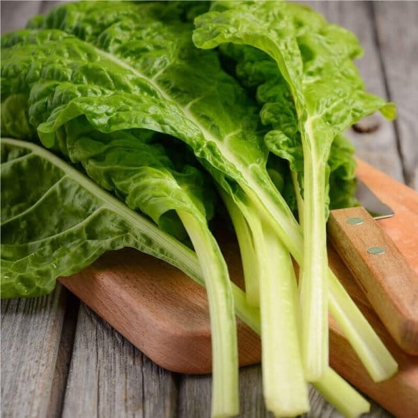 Burak Liściowy Lucullus - Zielonolistny nasiona