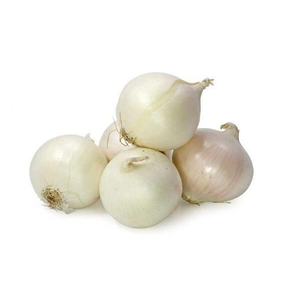 Cebula biała AGOSTANA Nasiona 500g  (1).jpg