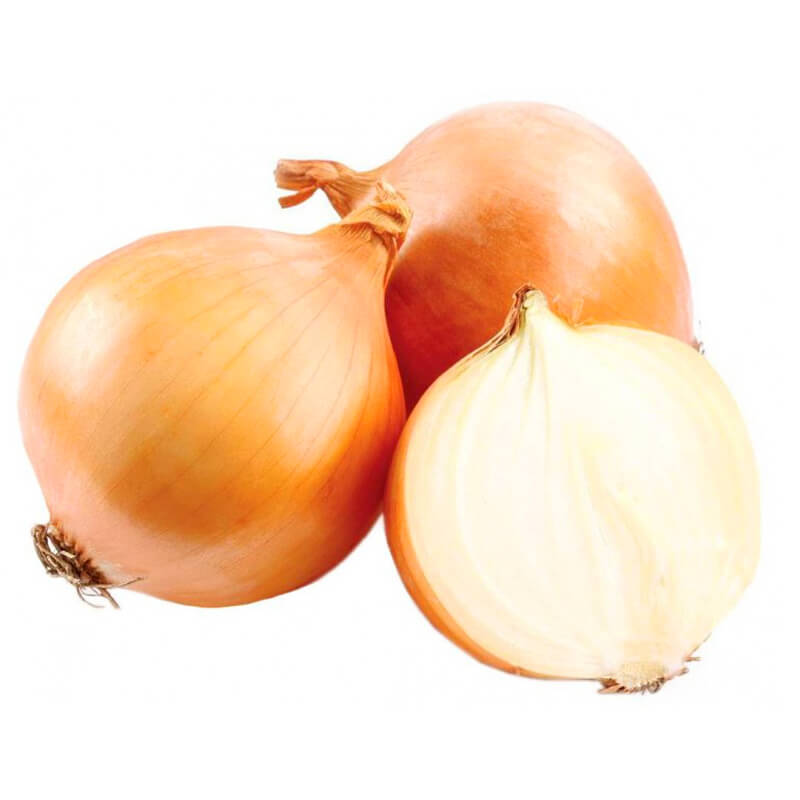 Cebula późna - Wolska nasiona 100g  (2).jpg