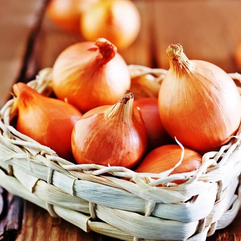 Cebula późna - Wolska nasiona 100g  (5).jpg