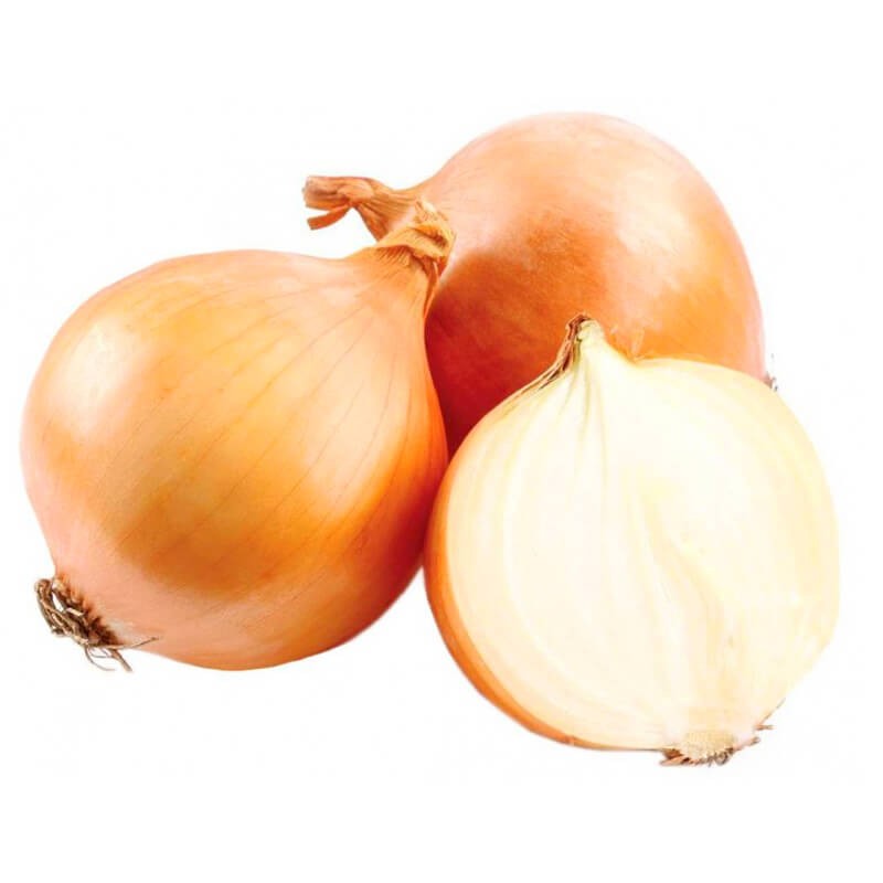 Cebula późna - Wolska nasiona 500g  (2).jpg