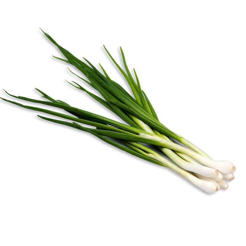 Cebula SIEDMIOLATKA nasiona (3).jpg