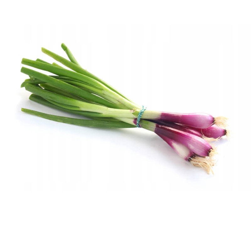 Cebula siedmiolatka czerwona RED TOGA nasiona (2).jpg