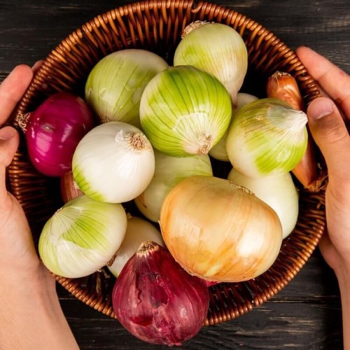 Cebula mieszanka odmian nasiona 3g